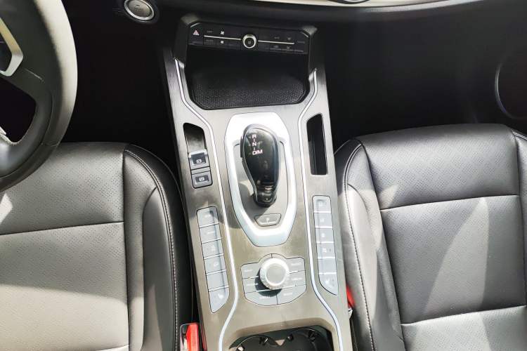 Used Wey VV6 2021 2.0T Two-Wheel Drive Smart Protection+ Gear Lever