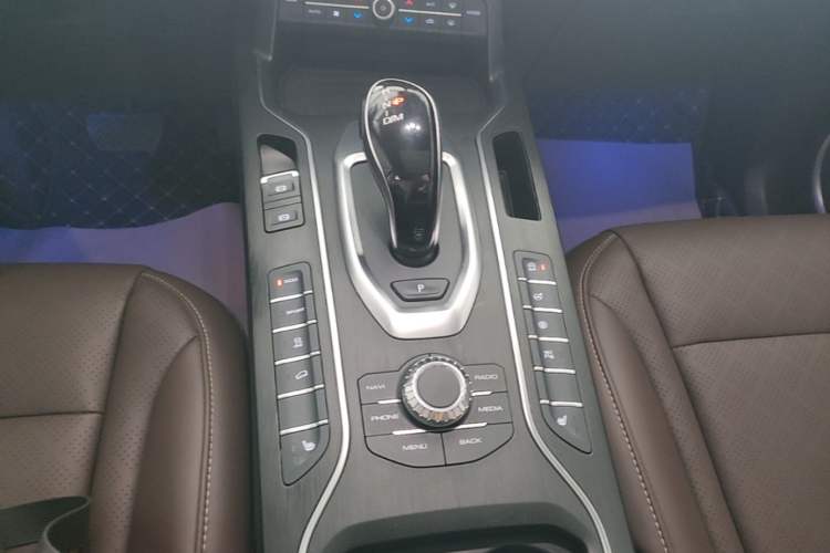 Used Wey VV6 2021 2.0T Two-Wheel Drive Smart Protection+ Gear Lever