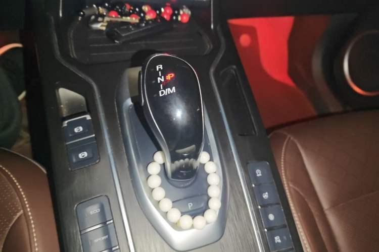 Used Wey VV6 2021 2.0T Two-Wheel Drive Smart Protection+ Gear Lever