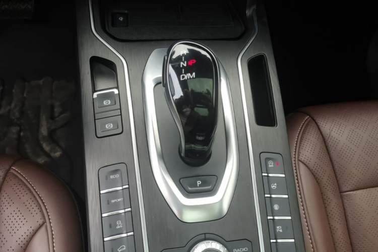 Used Wey VV6 2021 2.0T Two-Wheel Drive Smart Plus Gear Lever