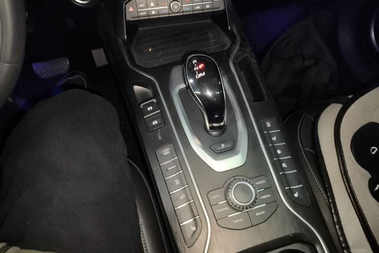 Used Wey VV6 2021 2.0T Two-Wheel Drive Smart Protection+ Gear Lever
