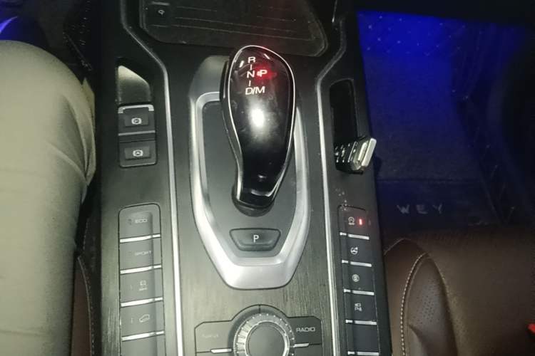 Used Wey VV6 2021 2.0T Two-Wheel Drive Smart Plus Gear Lever