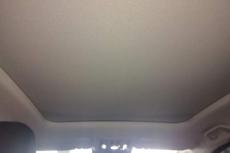 Used Wey VV6 2021 2.0T Two-Wheel Drive Smart Protection+ Headliner