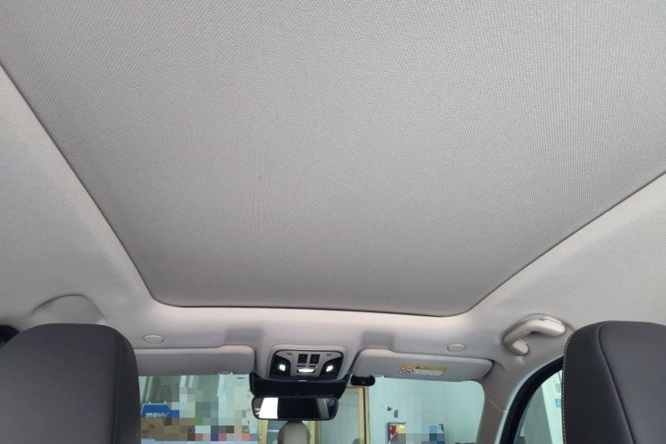Used Wey VV6 2021 2.0T Two-Wheel Drive Smart Plus Headliner