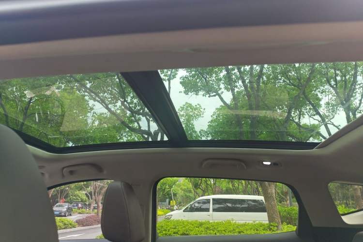 Used Wey VV6 2021 2.0T Two-Wheel Drive Smart Plus Headliner