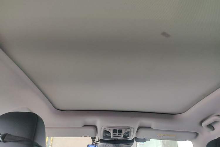 Used Wey VV6 2021 2.0T Two-Wheel Drive Smart Protection+ Headliner