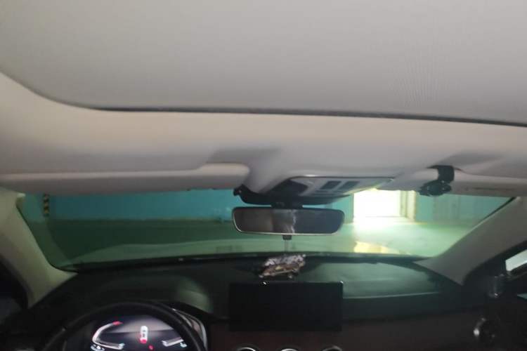 Used Wey VV6 2021 2.0T Two-Wheel Drive Smart Protection+ Headliner