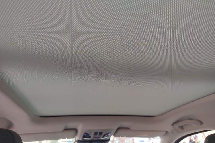Used Wey VV6 2021 2.0T Two-Wheel Drive Smart Protection+ Headliner