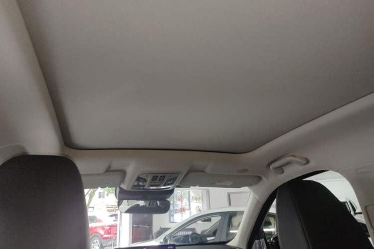 Used Wey VV6 2021 2.0T All-Wheel Drive Zhiyu+ Headliner