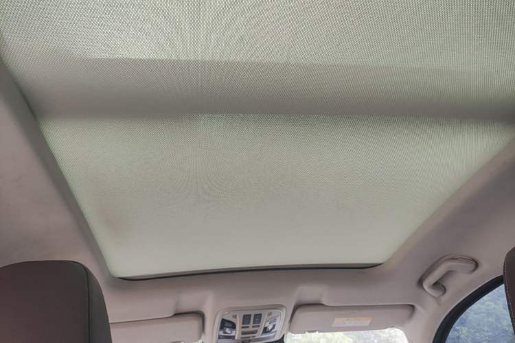 Used Wey VV6 2021 2.0T Two-Wheel Drive Smart Protection+ Headliner
