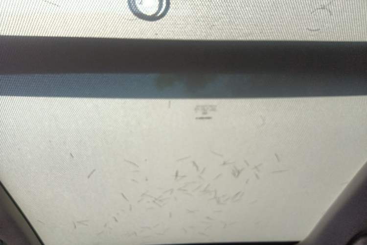 Used Wey VV6 2021 2.0T Two-Wheel Drive Smart Plus Headliner