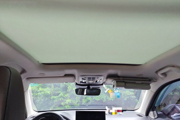 Used Wey VV6 2021 2.0T Two-Wheel Drive Smart Plus Headliner