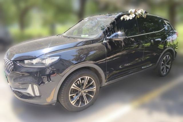Used Wey VV6 2021 2.0T Two-Wheel Drive Smart Protection+
