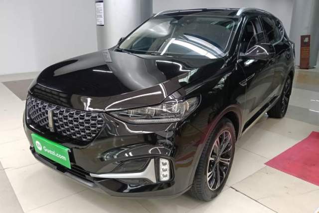 Used Wey VV6 2021 2.0T Two-Wheel Drive Smart Plus