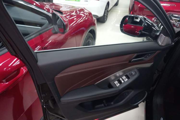 Used Wey VV6 2021 2.0T Two-Wheel Drive Smart Protection+ Left Front Door Interior