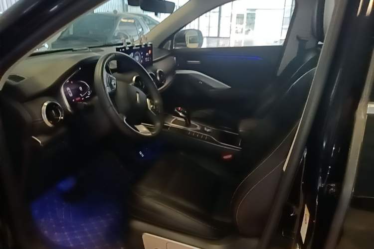 Used Wey VV6 2021 2.0T Two-Wheel Drive Smart Protection+ Left Front Seat