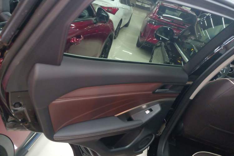 Used Wey VV6 2021 2.0T Two-Wheel Drive Smart Protection+ Left Rear Door Interior