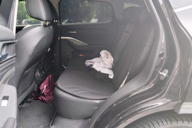 Used Wey VV6 2021 2.0T Two-Wheel Drive Smart Plus Left Rear Seat