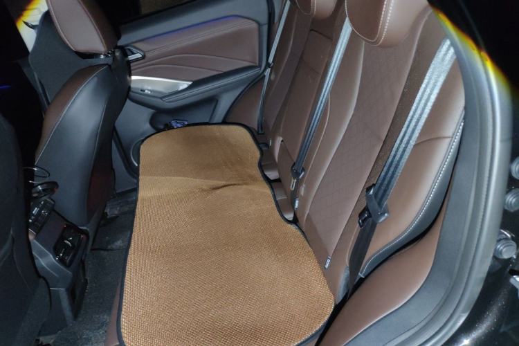 Used Wey VV6 2021 2.0T Two-Wheel Drive Smart Plus Left Rear Seat