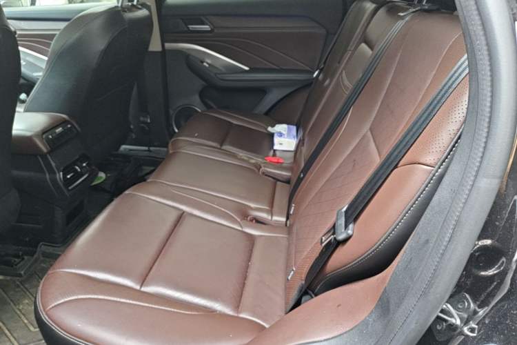 Used Wey VV6 2021 2.0T Two-Wheel Drive Smart Plus Left Rear Seat