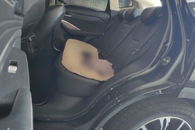 Used Wey VV6 2021 2.0T Two-Wheel Drive Smart Plus Left Rear Seat