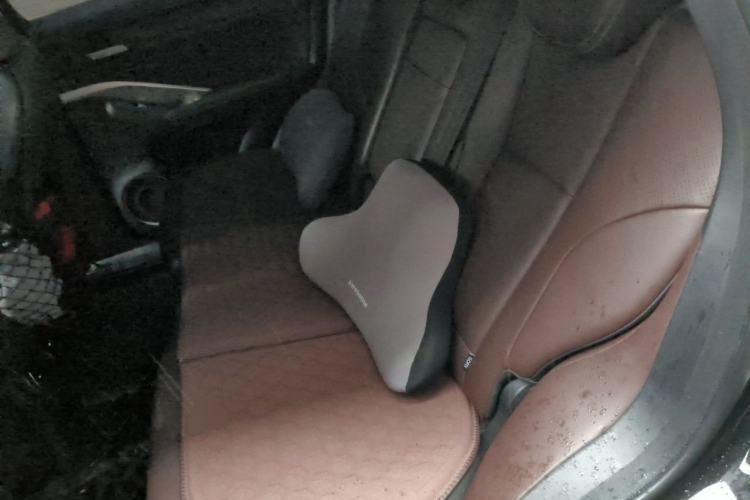 Used Wey VV6 2021 2.0T Two-Wheel Drive Smart Plus Left Rear Seat