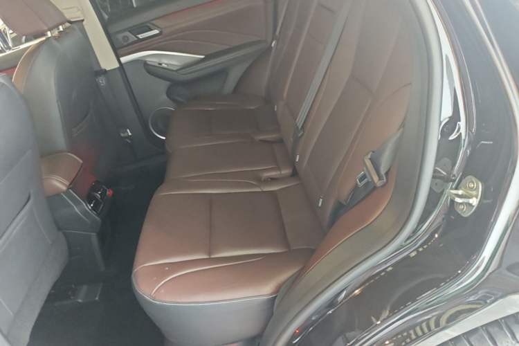 Used Wey VV6 2021 2.0T Two-Wheel Drive Smart Protection+ Left Rear Seat