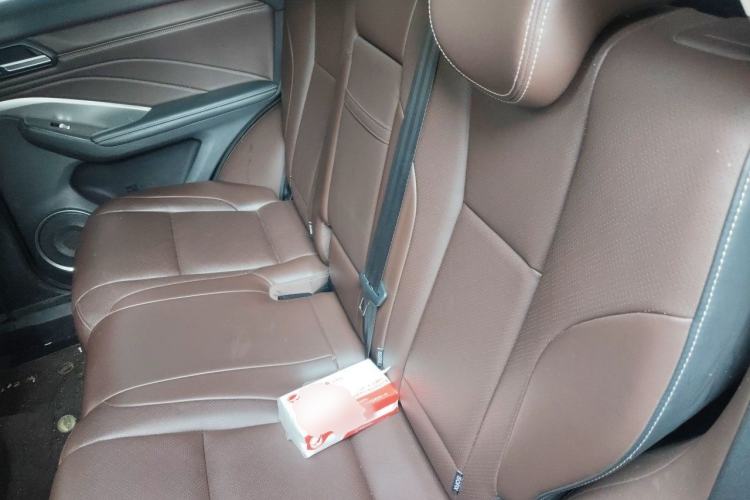 Used Wey VV6 2021 2.0T Two-Wheel Drive Smart Protection+ Left Rear Seat