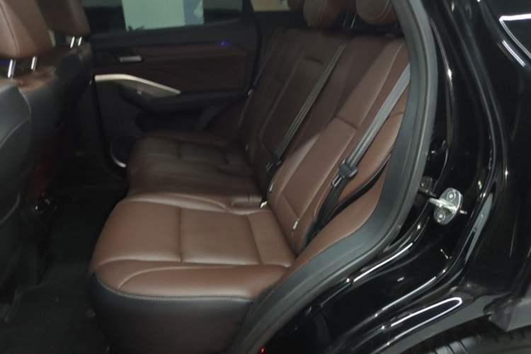 Used Wey VV6 2021 2.0T Two-Wheel Drive Smart Protection+ Left Rear Seat