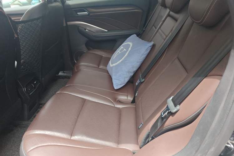Used Wey VV6 2021 2.0T Two-Wheel Drive Smart Plus Left Rear Seat