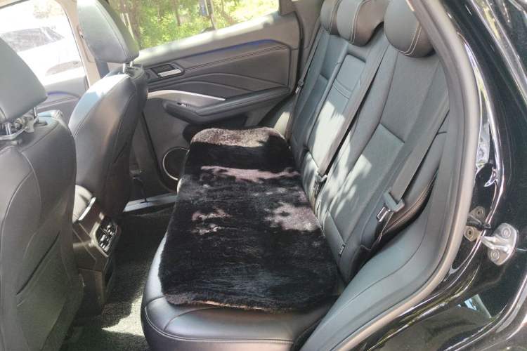 Used Wey VV6 2021 2.0T Two-Wheel Drive Smart Protection+ Left Rear Seat