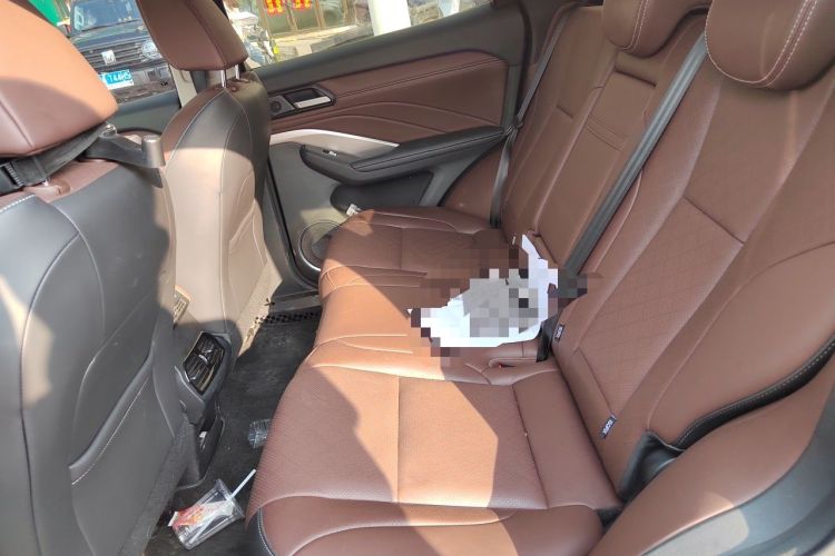 Used Wey VV6 2021 2.0T Two-Wheel Drive Smart Plus Left Rear Seat
