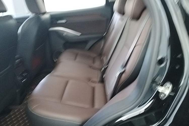 Used Wey VV6 2021 2.0T Two-Wheel Drive Smart Plus Left Rear Seat