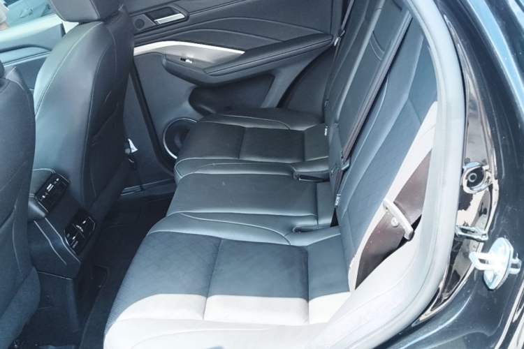 Used Wey VV6 2021 2.0T Two-Wheel Drive Smart Plus Left Rear Seat