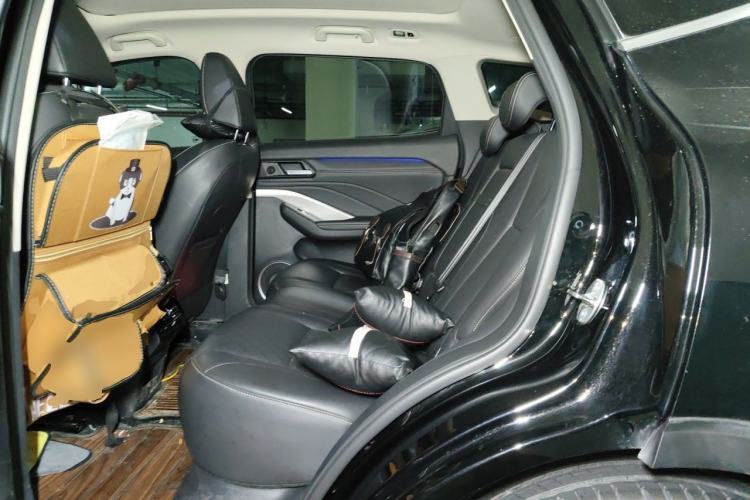 Used Wey VV6 2021 2.0T Two-Wheel Drive Smart Plus Left Rear Seat