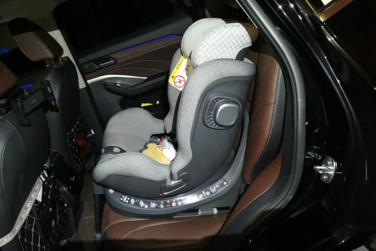 Used Wey VV6 2021 2.0T Two-Wheel Drive Smart Plus Left Rear Seat
