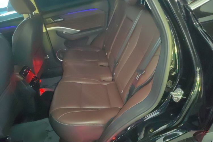 Used Wey VV6 2021 2.0T Two-Wheel Drive Smart Plus Left Rear Seat