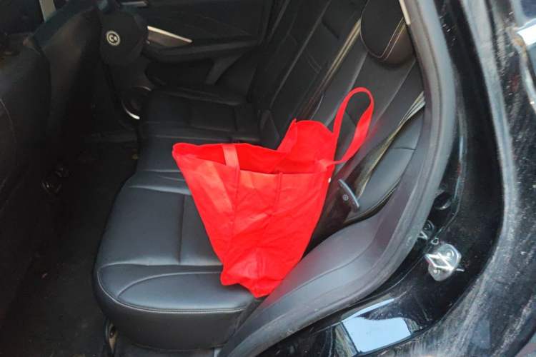 Used Wey VV6 2021 2.0T Two-Wheel Drive Smart Plus Left Rear Seat