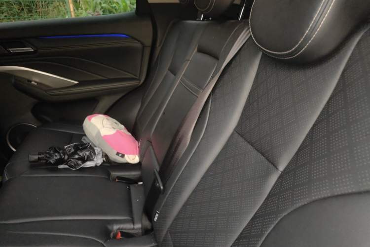 Used Wey VV6 2021 2.0T Two-Wheel Drive Zhiyue+ Left Rear Seat