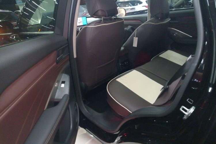 Used Wey VV6 2021 2.0T Two-Wheel Drive Smart Protection+ Left Rear Seat