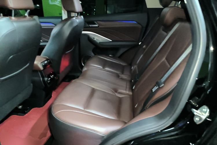 Used Wey VV6 2021 2.0T Two-Wheel Drive Smart Plus Left Rear Seat