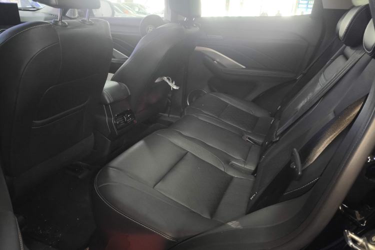 Used Wey VV6 2021 2.0T Two-Wheel Drive Smart Protection+ Left Rear Seat