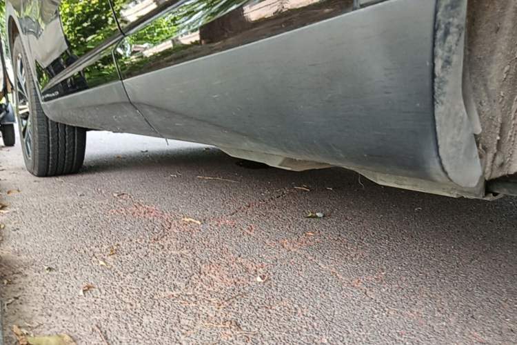 Used Wey VV6 2021 2.0T Two-Wheel Drive Smart Protection+ Left Side Sill