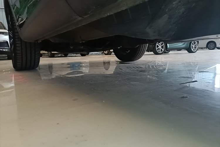 Used Wey VV6 2021 2.0T Two-Wheel Drive Smart Protection+ Left Side Sill