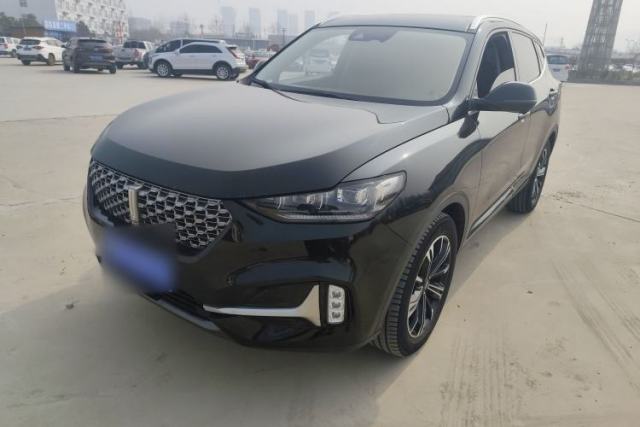 Used Wey VV6 2021 2.0T Two-Wheel Drive Smart Plus