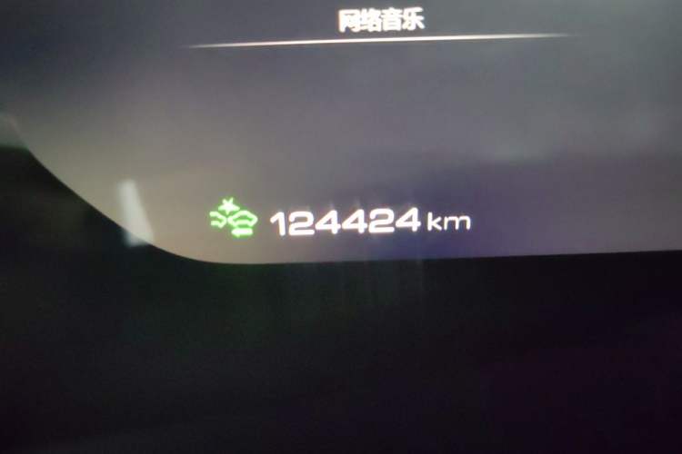Used Wey VV6 2021 2.0T Two-Wheel Drive Smart Plus Odometer Close Up