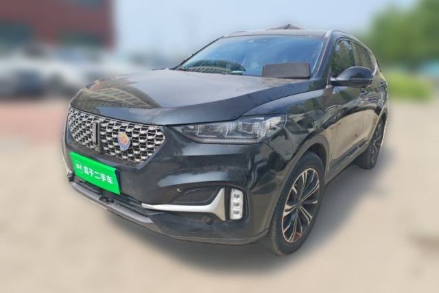 Used Wey VV6 2021 2.0T Two-Wheel-Drive Child-Care Edition