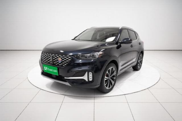 Used Wey VV6 2021 2.0T Two-Wheel-Drive Child-Care Edition