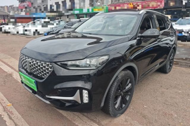 Used Wey VV6 2021 2.0T Two-Wheel Drive Smart Protection+