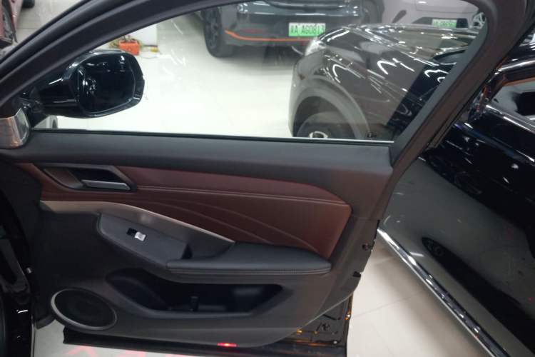 Used Wey VV6 2021 2.0T Two-Wheel Drive Smart Protection+ Right Front Door Interior
